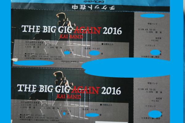★甲斐バンド 8/7(日) BIG GIG AGAIN (1～２枚) Ｃブロック