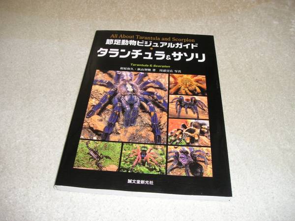 タランチュラ&サソリ 節足動物ビジュアルガイド 中古本・書籍 (節
