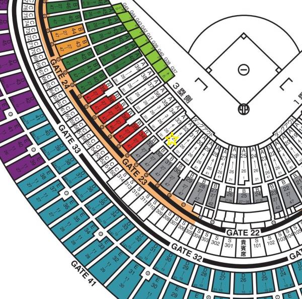 8/19(金) 巨人vs阪神　スターシート連番ペア ３塁側_2