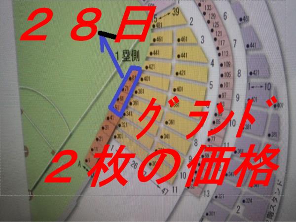グランドB列~ペア2枚価格 8/28 EXILE ATSUSHI 紙チケ 東京ドーム
