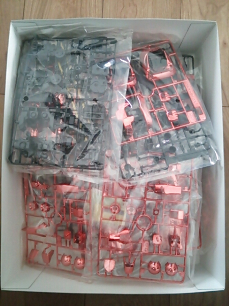 イベント限定 MG 1/100 シャア専用リックドムメッキカラーver.