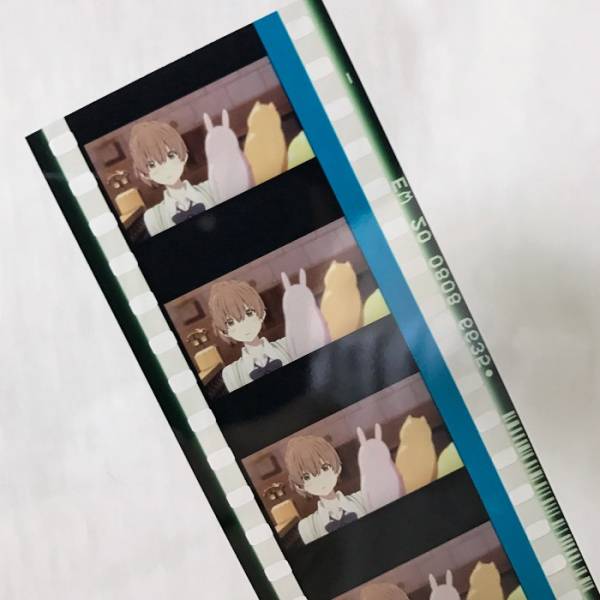 映画 聲の形 特典 フィルム a コミック、アニメグッズ 【公式通販】