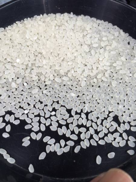 新潟産農家直送！Ｈ28産こしいぶき玄米30キロ中米. 　残り僅か