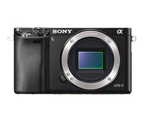 新品保証★ソニー α6000 ILCE-A6000 ブラック SONY バッテリー