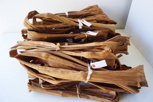 山葡萄★皮・樹皮・蔓★岩手県産・３ｋｇ★籠・オブジェ・小物用