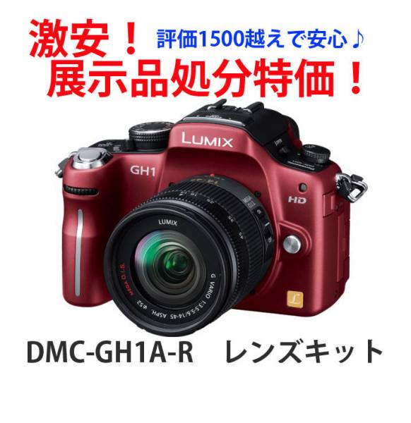 LUMIX パナソニック デジタル一眼カメラ GH1 レンズキット | ☆月末 