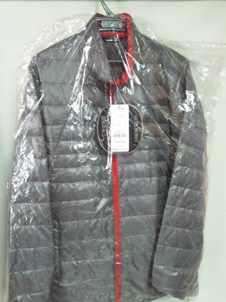 ”新品”　MIZUNO　MOVE　DOUN　５２JE５５７００８　L