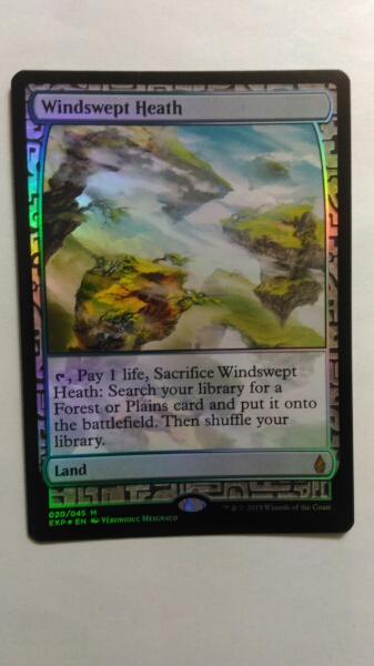 MTG】No06 吹きさらしの荒野 exp foil 【公式通販】
