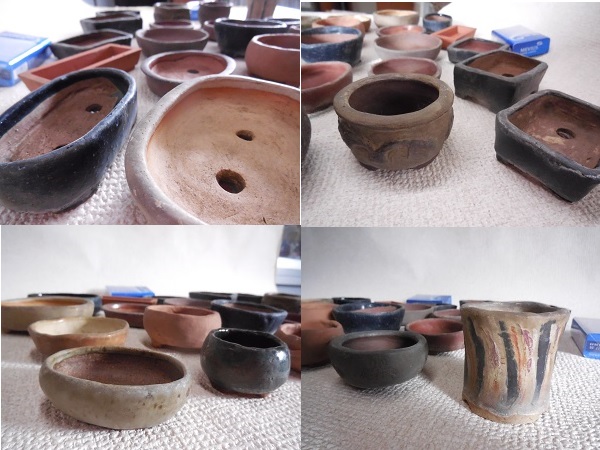 ★ミニ盆栽鉢 20点セット 小品鉢 銘あり 園芸