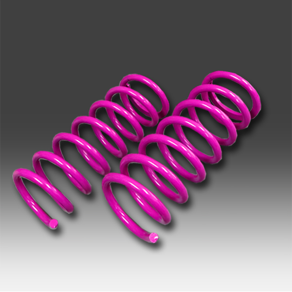 Zero Racing DOWN SUS 【桜花】 アルファード MNH10W REAR SET