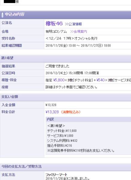 欅坂46初ワンマン ライブ 有明12/24 1階C 8-12列25-32番1枚 同伴