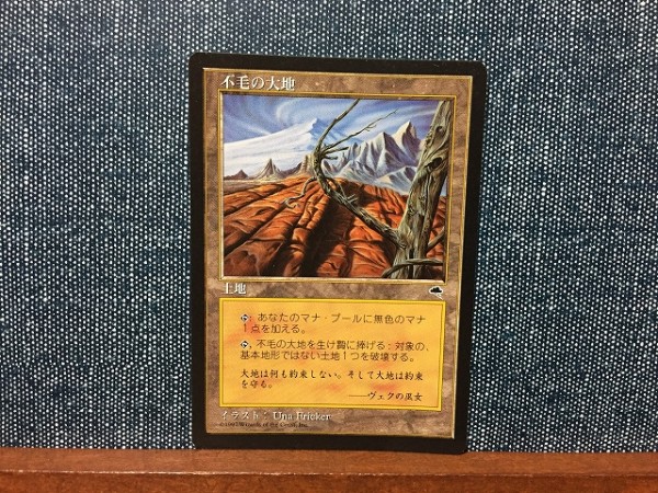 MTG/TMP/不毛の大地/Wasteland/日本語1枚③