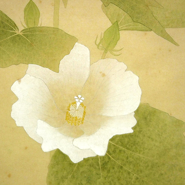 Glc 岩崎宏 芙蓉 日本画10号 無所属 テンペラ画家から日本画家への転身 花鳥 鳥獣 売買されたオークション情報 Yahooの商品情報をアーカイブ公開 オークファン Aucfan Com