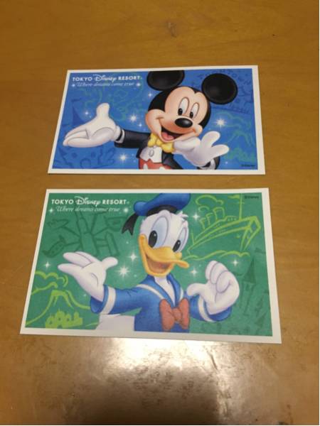 ディズニーリゾートパスポート大人2枚セット