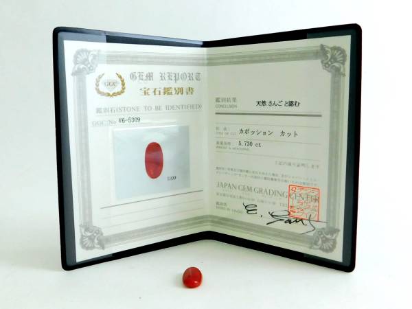珊瑚 赤珊瑚　天然サンゴ カボッション ルース 鑑別書付 1.1ｇ 5.730ｃｔ
