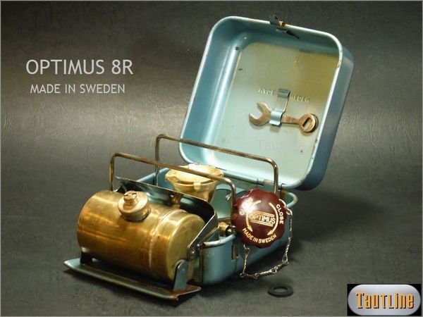 t506956381.1