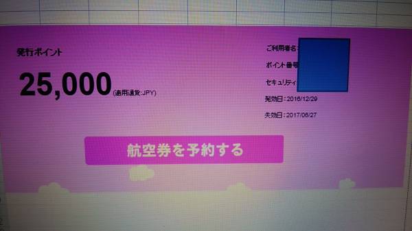 ピーチポイントギフト 25，000円分 有効期限平成２９年6月27日☆ 送料無料!!