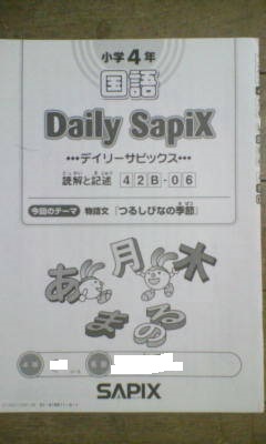 サピックス SAPIX＊デイリーサピックス＊4年 小4＊国語 B