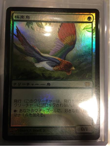 極楽鳥　8th 日本語 foil mtg 極楽鳥 第8版 日本語foil Magic: The Gathering ゲーム 【公式通販】