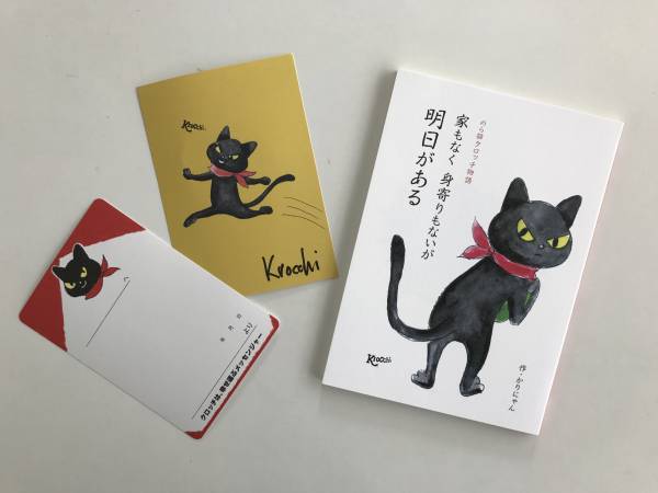 [チャリティ] クロッチさん - インドの民族衣装を着たのら猫クロッチ② rfp1102_3