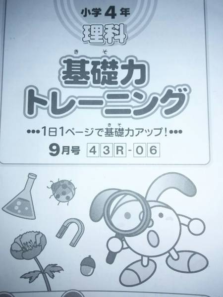 サピックス 小学校4年生 算数基礎力トレーニング1年分 未記入 sapix