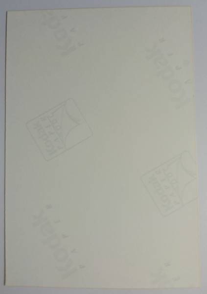 嵐 櫻井翔 ファミクラ 公式写真 ファミリークラブ 1枚 02 木更津キャッツアイ バンビ 中込フトシ 桜井翔 売買されたオークション情報 Yahooの商品情報をアーカイブ公開 オークファン Aucfan Com