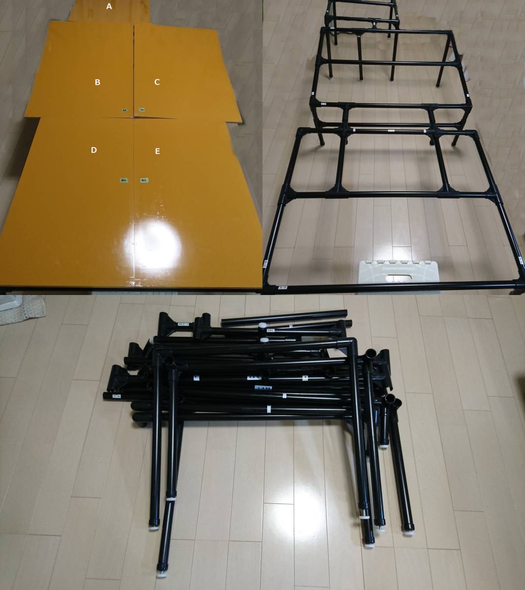 t522558315.3