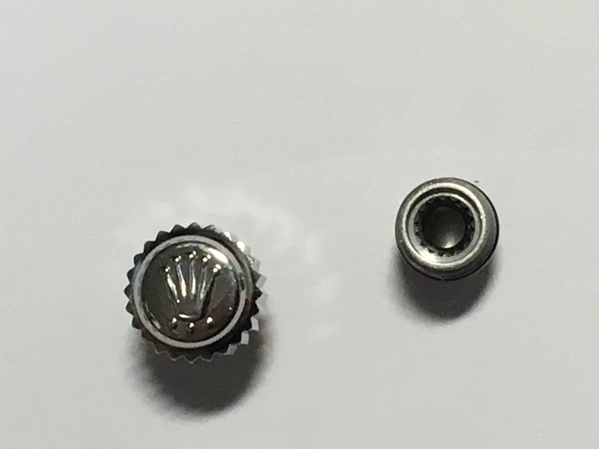 g195205909.1