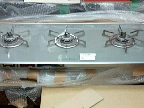 t499060207.1