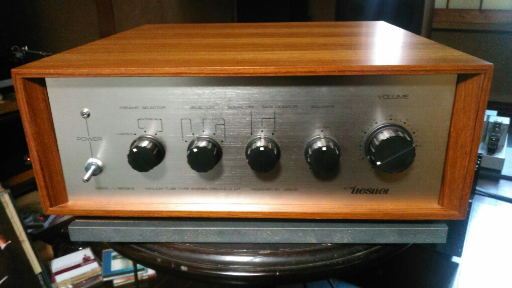 j223840610.1