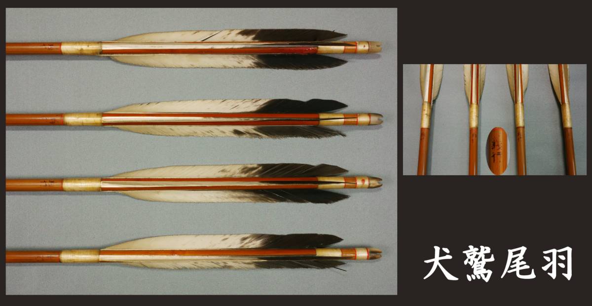 中古 竹矢 近的用 犬鷲尾羽 上物 在銘 4本組 ③