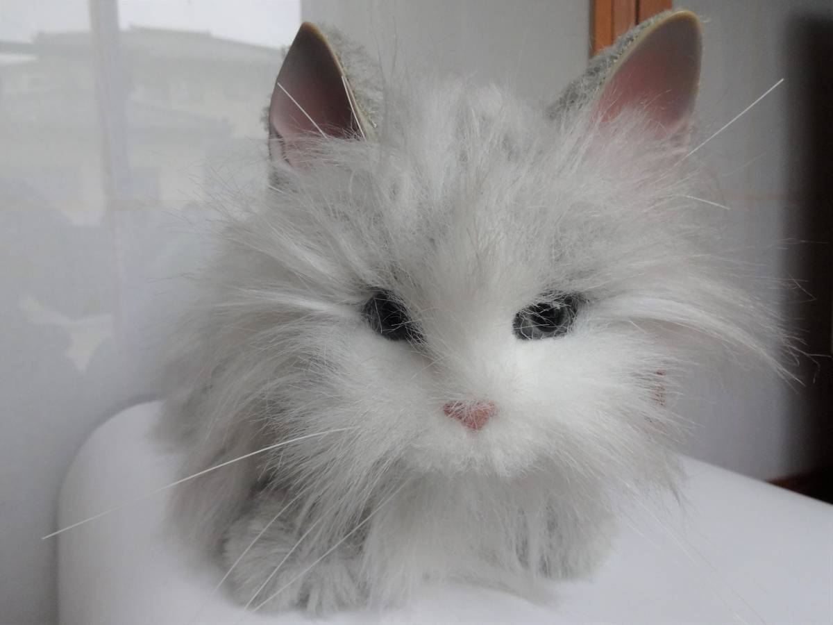 セガトイズ製 夢ねこ 通販 【公式通販】