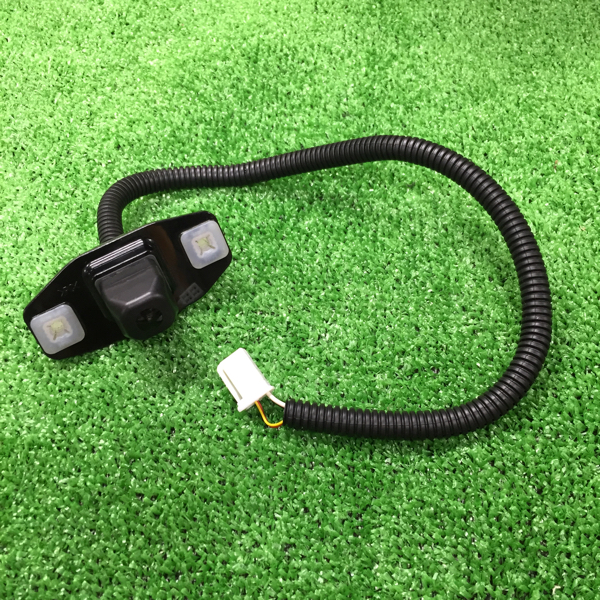 t504381439.2
