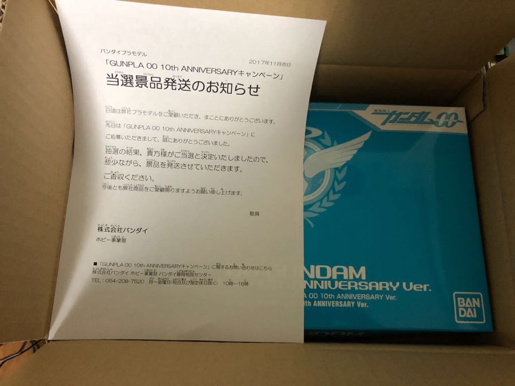 ダブルオーガンダム キャンペーン当選品 HG ダブルオーガンダム 10th