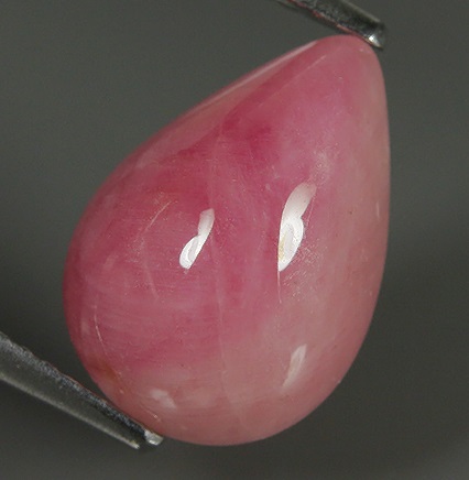 g290391952.1