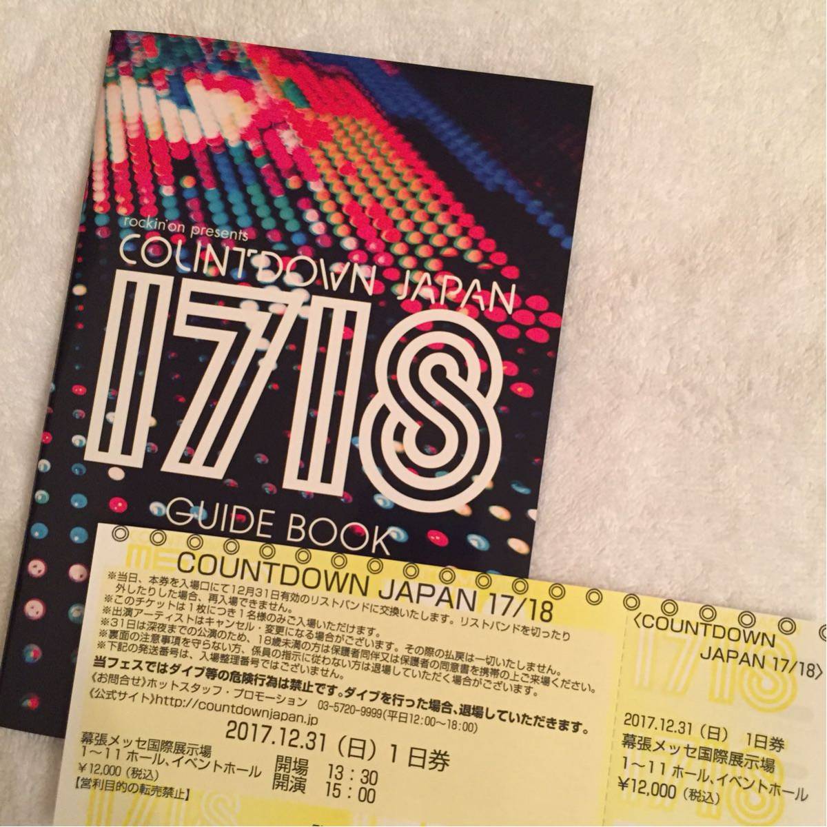カウントダウンジャパン CDJ COUNTDOWN 12⁄31 JAPAN 1日券 12⁄31 カウントダウンジャパン CDJ COUNTDOWN 12⁄31 JAPAN 1日券 12⁄31