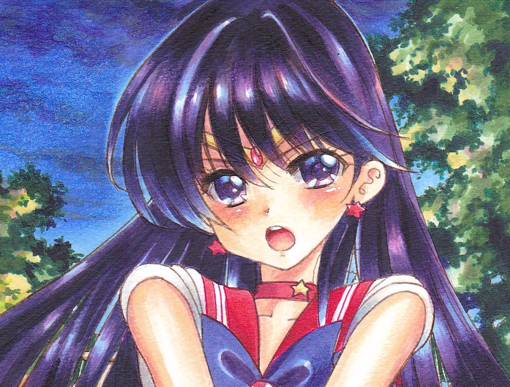 同人手描きイラスト☆セーラーマーズ：火野レイ 「鮎川まどかtaste
