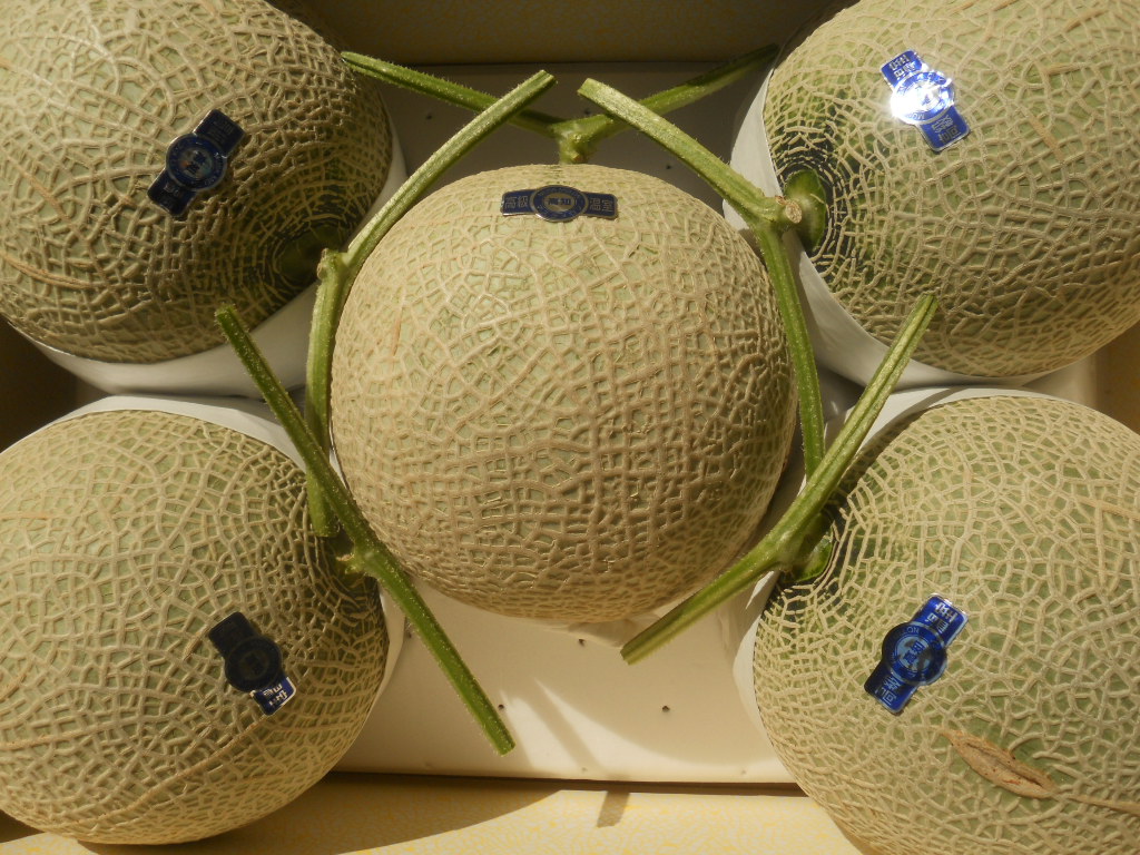 ☆送料無料 ☆約9，3kg 高知産 マスクメロン 5玉入