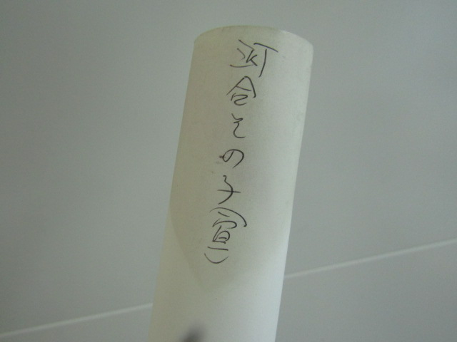 JU-3864 河合その子 再会のラビリンス 宣伝用 昭和平成初期アイドル