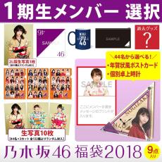 乃木坂46 Web SHOP限定 2018年度 福袋 ポストカード(衛藤美彩) 生写真なし 計８点