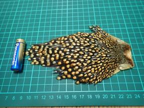 ジャングルコック フライマテリアル フライ用品 【公式通販】