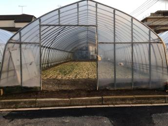 ビニールハウス B パイプ約2 5cm アーチパイプ43本 米の育苗や葉物野菜用 間口 約560cm 温室 ビニールハウス 売買されたオークション情報 Yahooの商品情報をアーカイブ公開 オークファン Aucfan Com