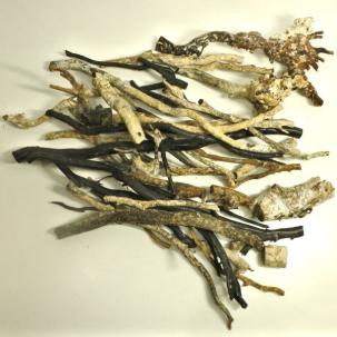 黒珊瑚(くろさんご) 海松 原木 天然 総重量約2Kg (2)