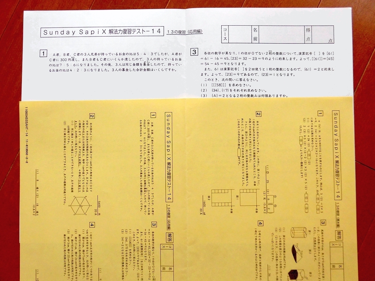 算数 SS特訓 サンデーサピックス サピックス 6年 SAPIX SS 小6 フル