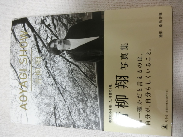 送料無料○イベント正規品!直筆サイン入り最新写真集『AOYAGI SHOW 