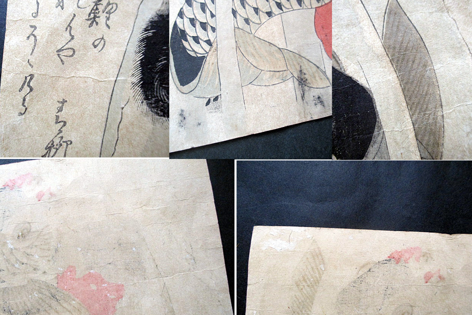 狂歌摺物/魚屋北渓画/金太郎の鯉つかみ/葛飾北斎門人/彩色木版画/江戸