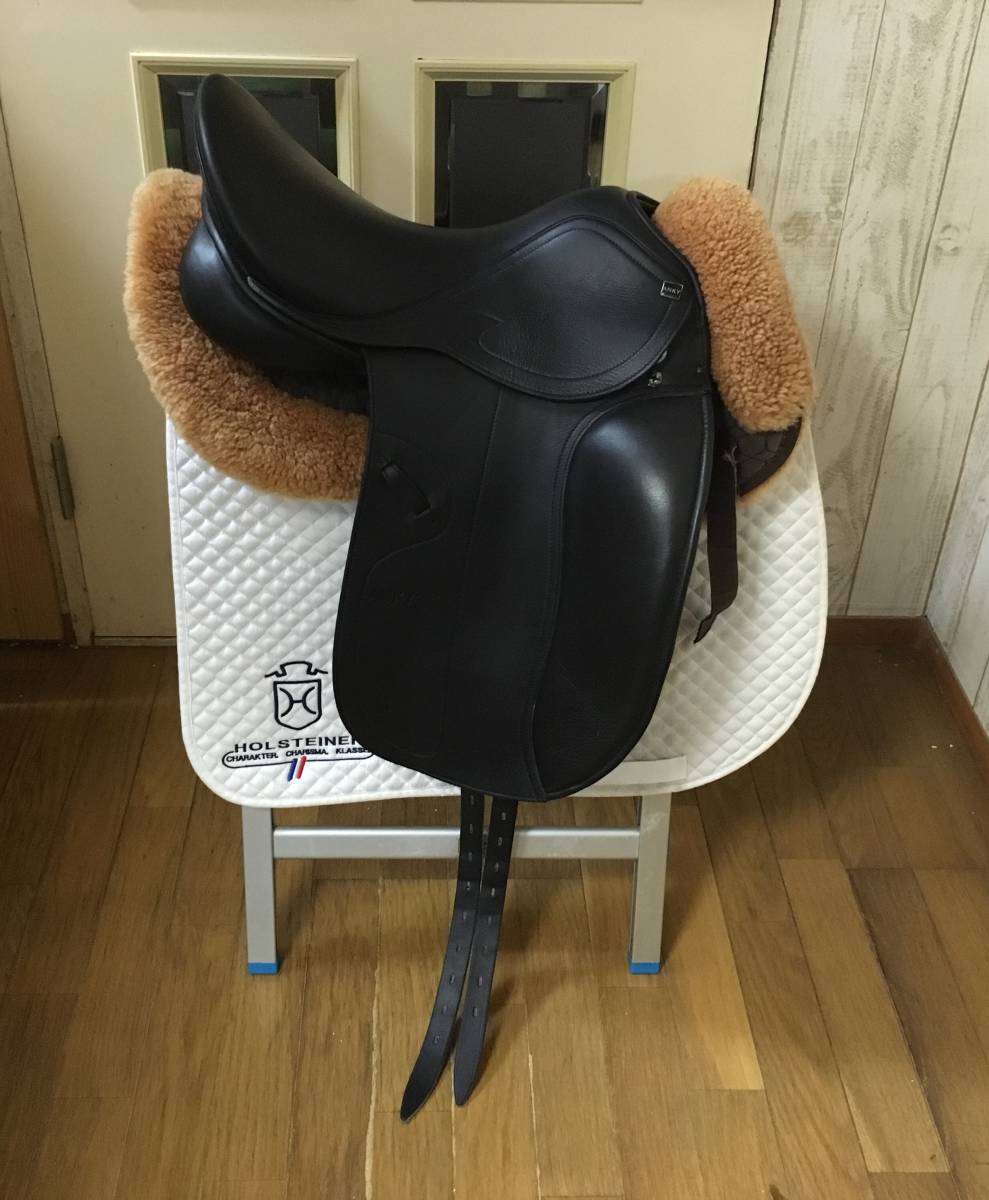 乗馬用 ANKY アンキー サリネロ 馬場鞍 16.5 美品 ＆ 鞍備品一式