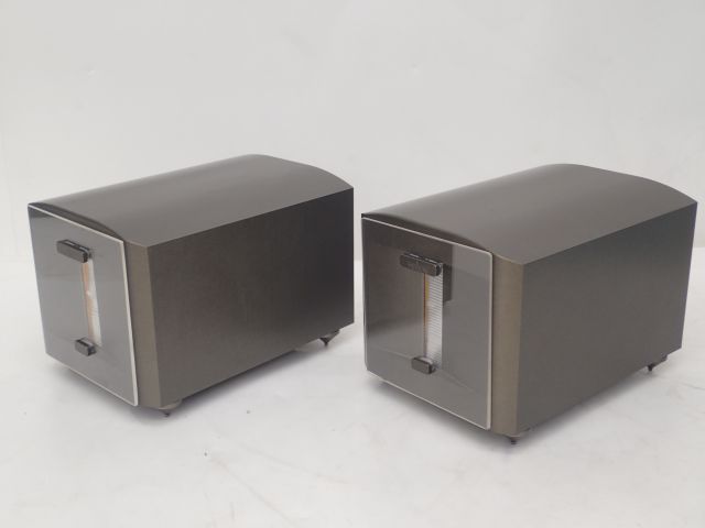 MEWON リボンツイーター TS-001 初期モデル ペア Kan Sound Lab ミューオン ▽ 53233-1