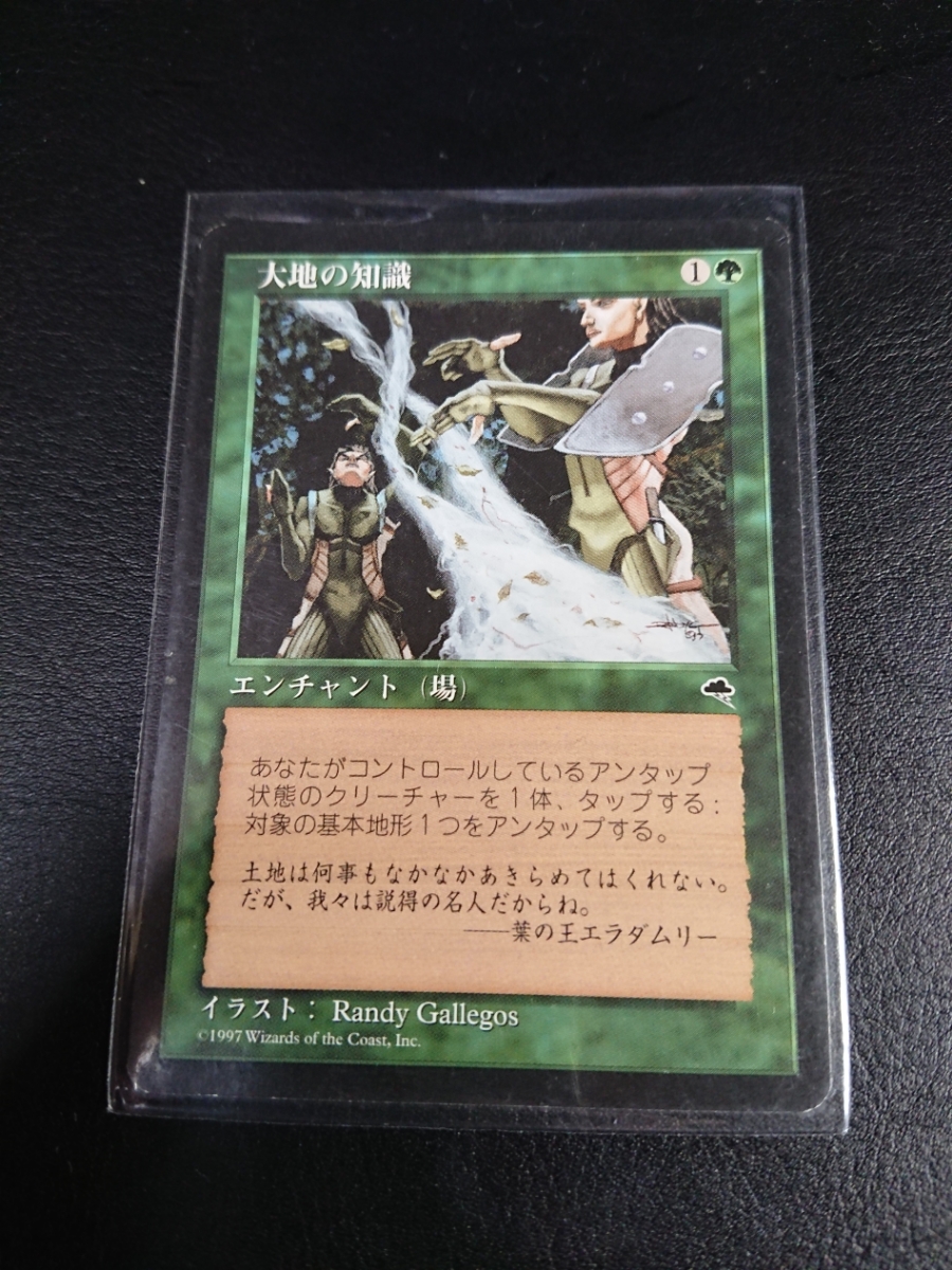 ☆MTG 【JPN】《大地の知識/Earthcraft》[TMP] 緑R☆全ての商品同梱