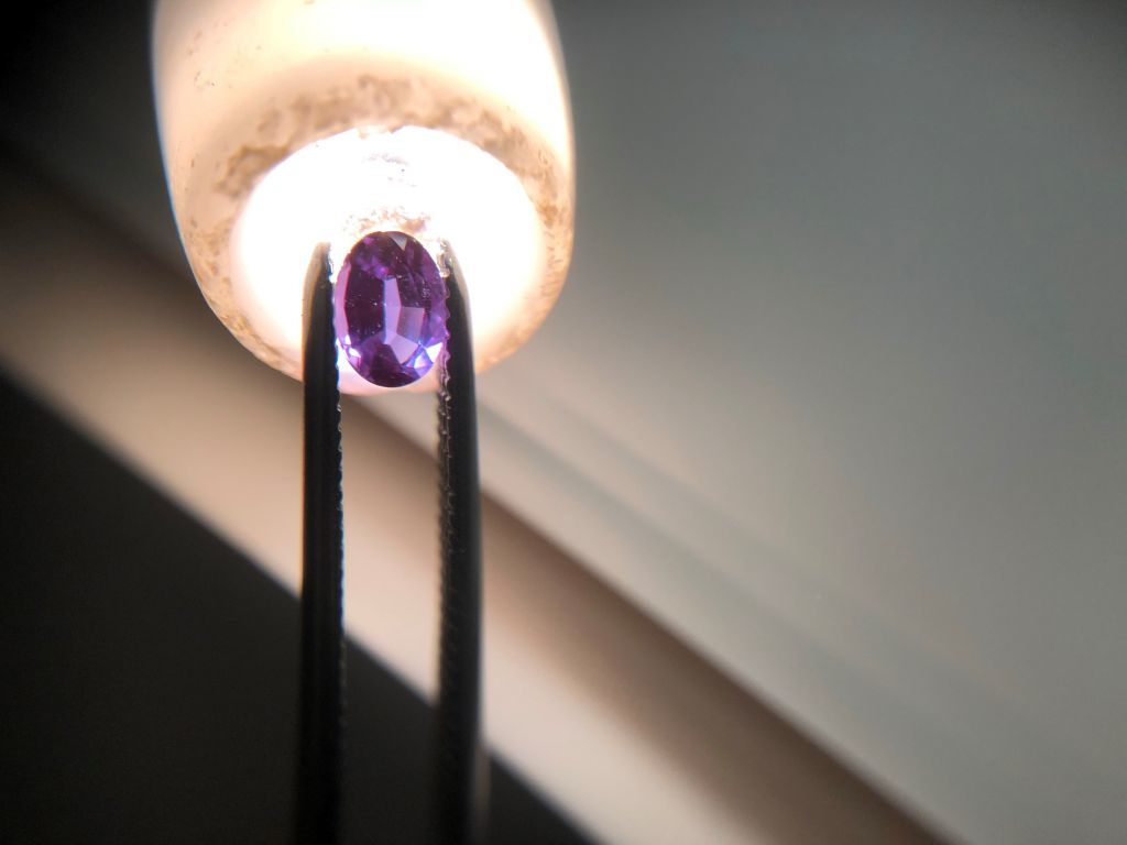 r258435905.2